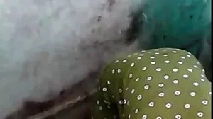 Νικολέτ σέα