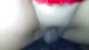 Thedicksuckers