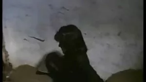 Το Booty So Big οι Kardashians ξεκίνησαν το Suin'